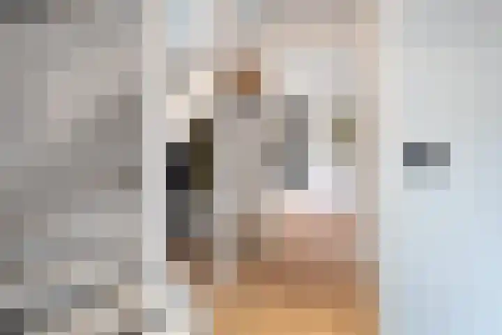 Moonenlaan 66 Hardenberg thumbnail 6