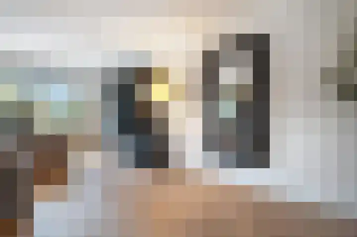Moonenlaan 66 Hardenberg thumbnail 7