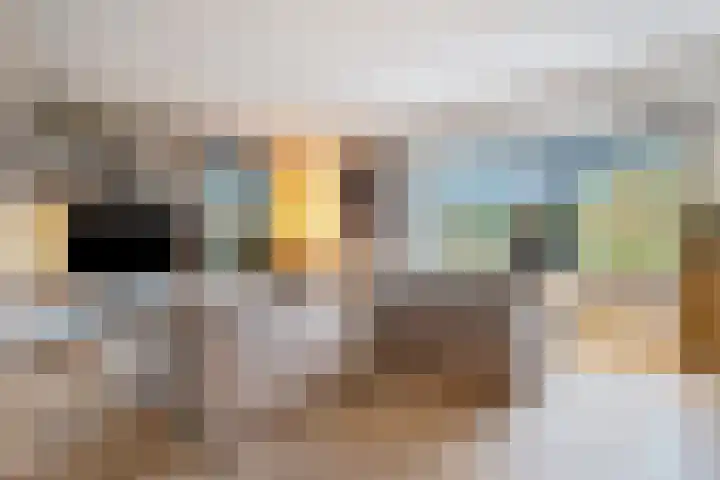 Moonenlaan 66 Hardenberg thumbnail 8