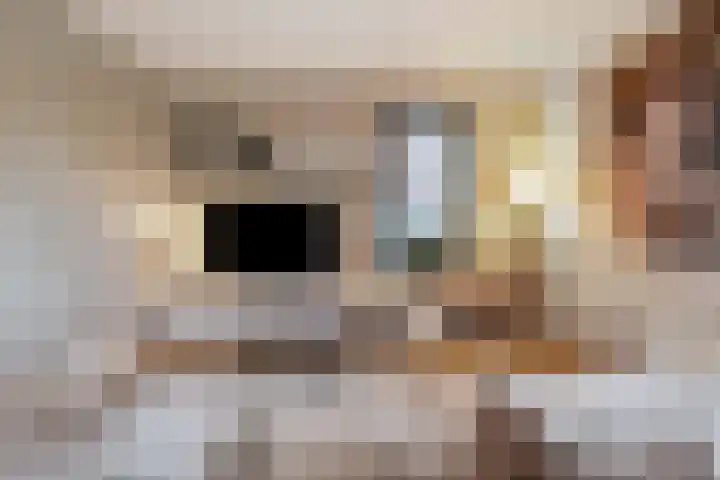 Moonenlaan 66 Hardenberg thumbnail 9