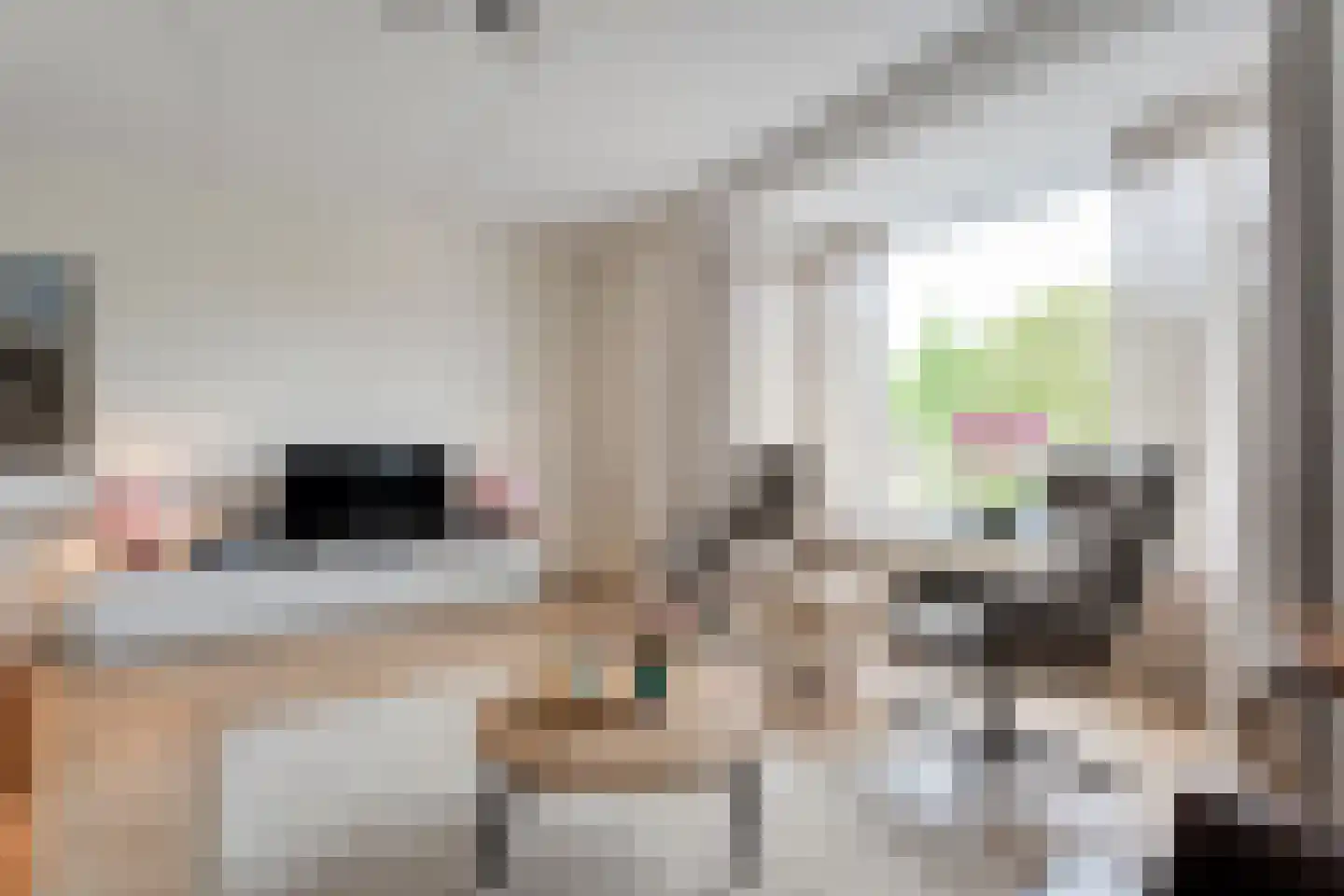 Moonenlaan 96 Hardenberg thumbnail 10