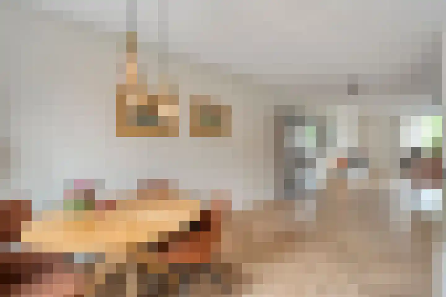 Moonenlaan 96 Hardenberg thumbnail 16