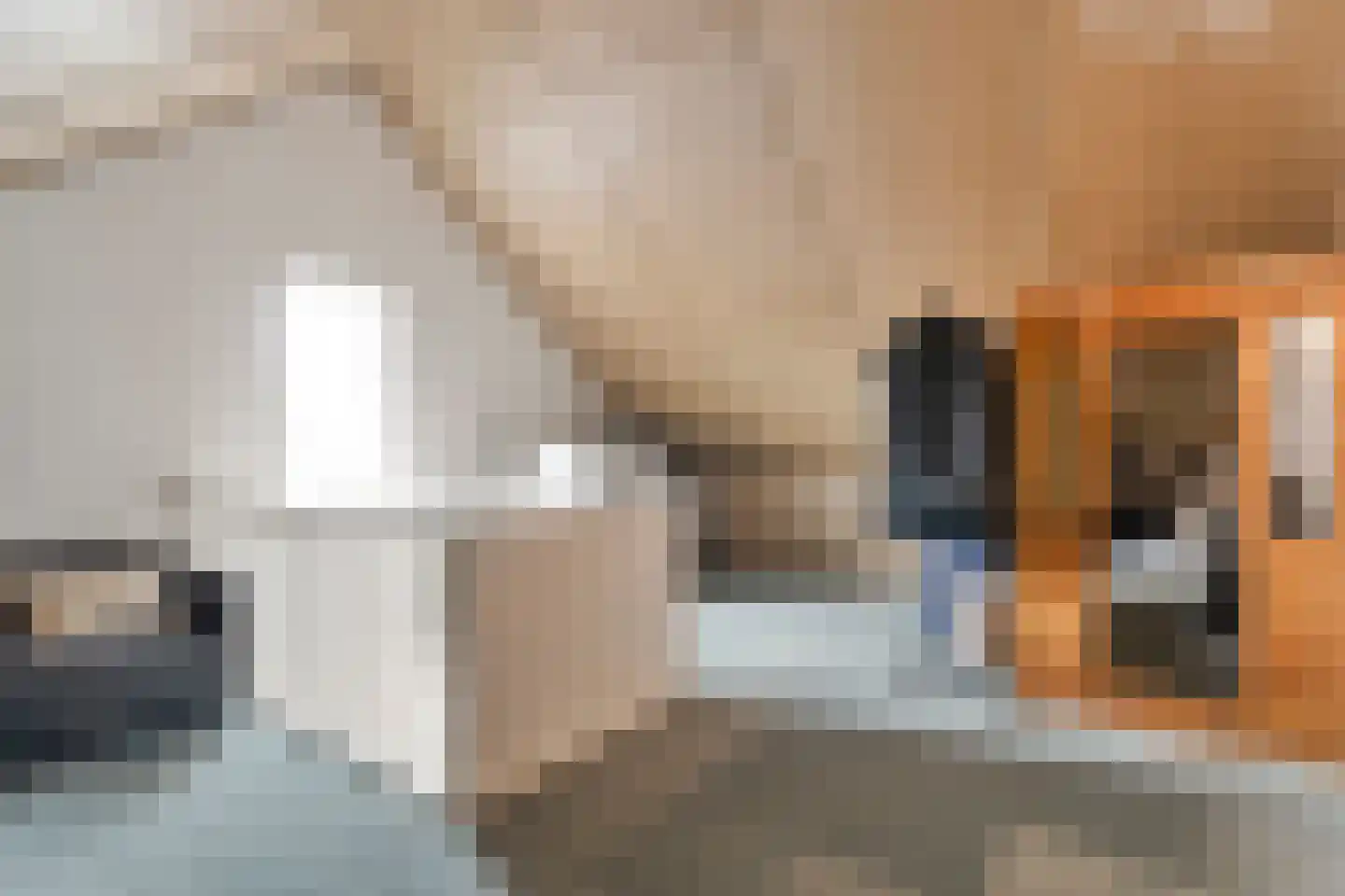 Moonenlaan 96 Hardenberg thumbnail 38