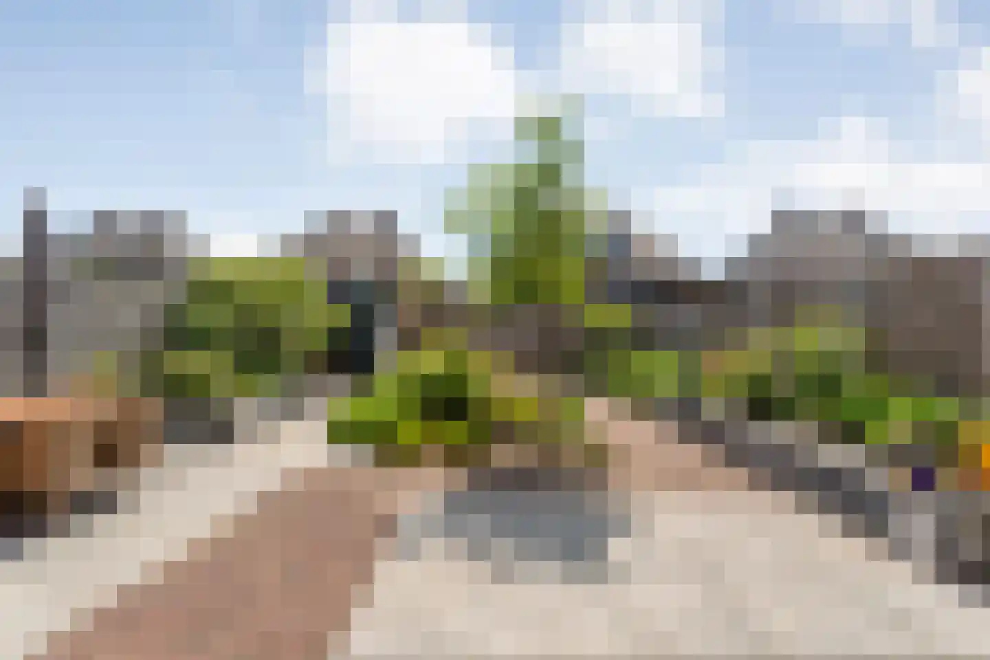 Moonenlaan 96 Hardenberg thumbnail 43