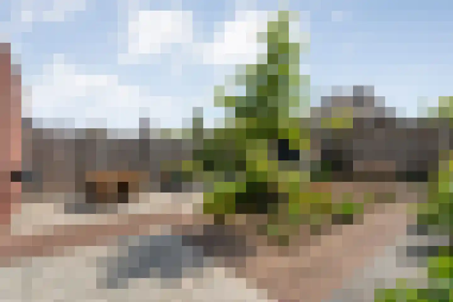 Moonenlaan 96 Hardenberg thumbnail 44