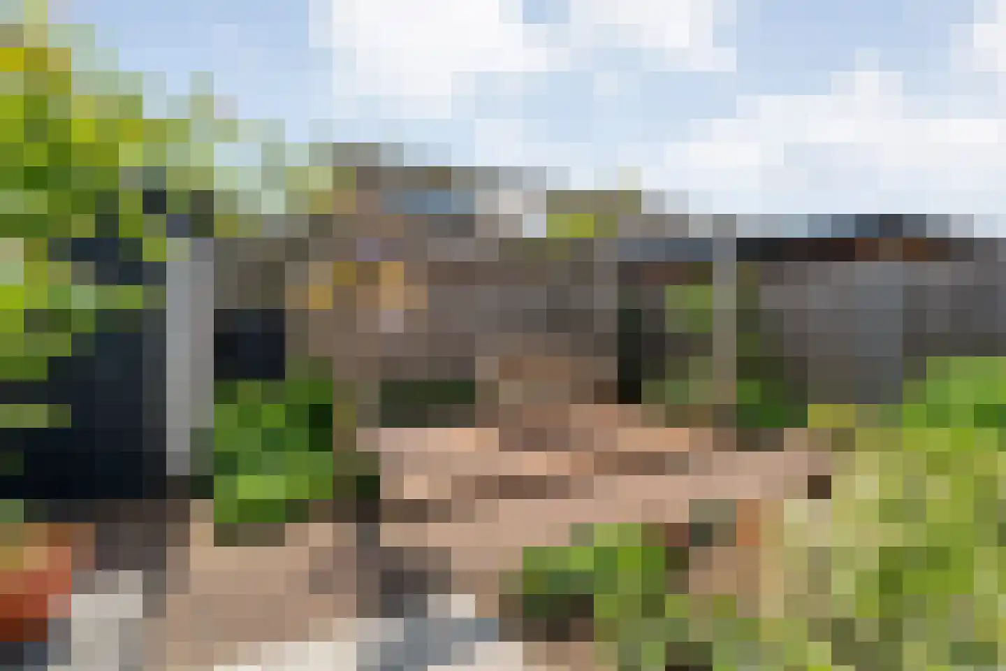 Moonenlaan 96 Hardenberg thumbnail 45