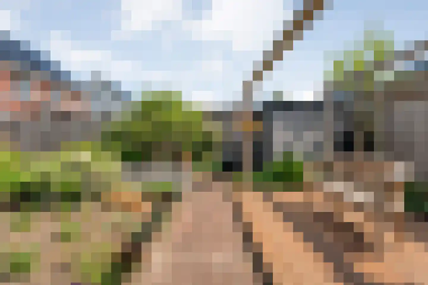 Moonenlaan 96 Hardenberg thumbnail 46