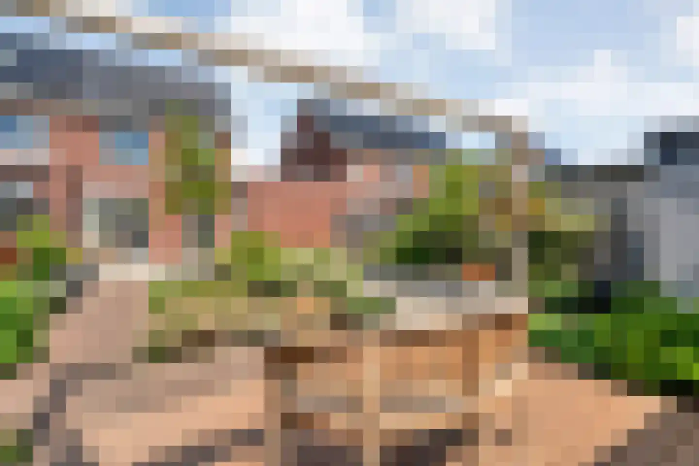 Moonenlaan 96 Hardenberg thumbnail 47