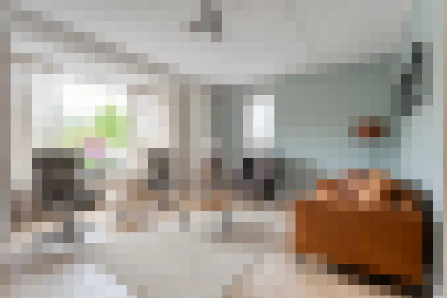 Moonenlaan 96 Hardenberg thumbnail 8