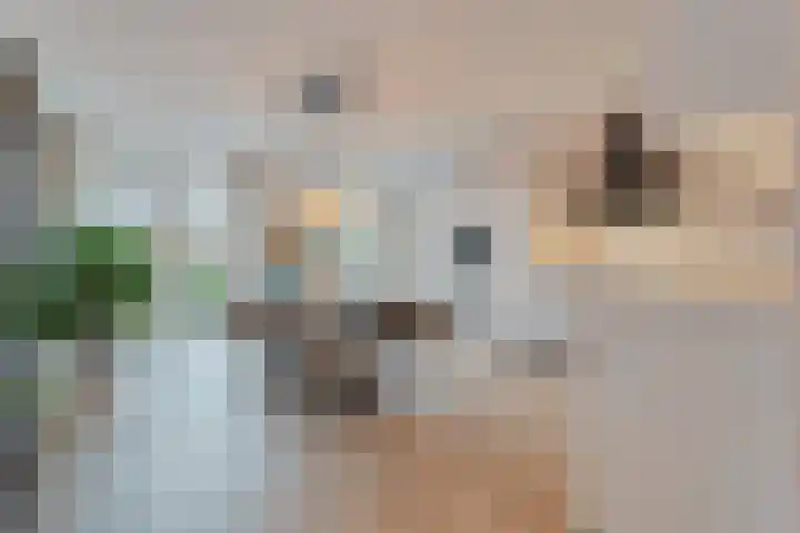 Moonenlaan 98 Hardenberg thumbnail 11