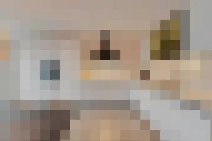Moonenlaan 98 Hardenberg thumbnail 12