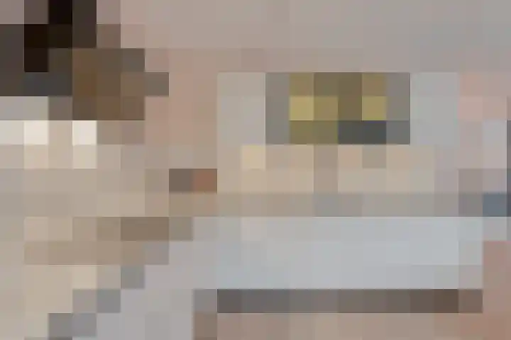 Moonenlaan 98 Hardenberg thumbnail 13