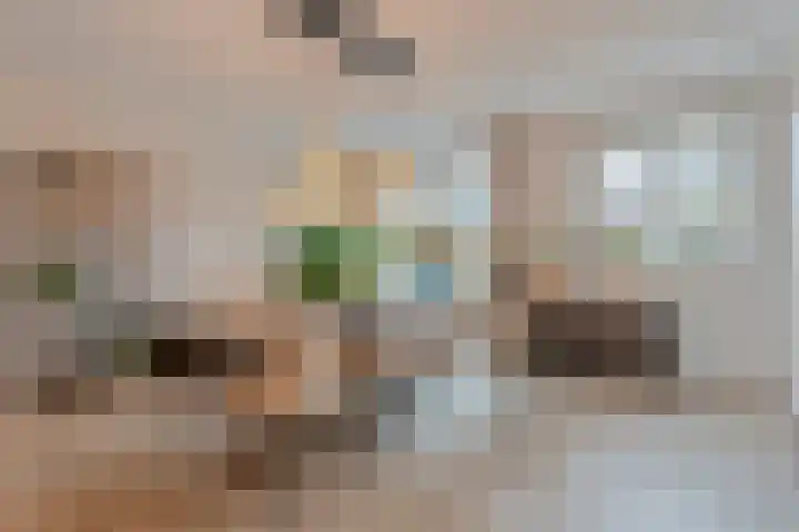 Moonenlaan 98 Hardenberg thumbnail 15