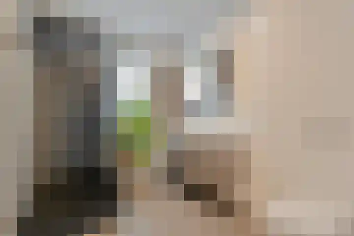 Moonenlaan 98 Hardenberg thumbnail 29