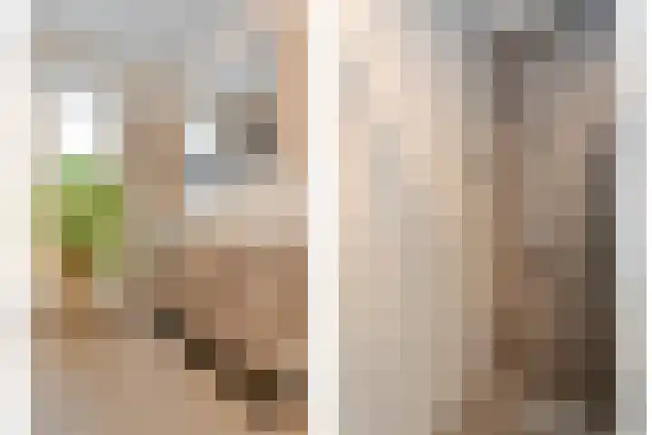 Moonenlaan 98 Hardenberg thumbnail 30