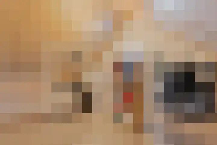 Moonenlaan 98 Hardenberg thumbnail 37