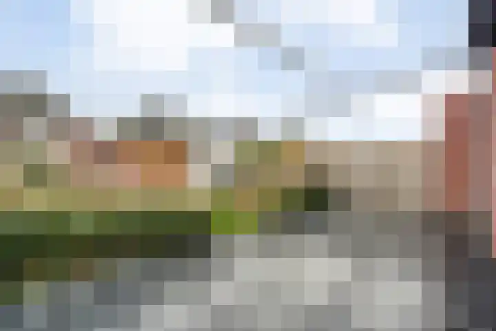 Moonenlaan 98 Hardenberg thumbnail 40