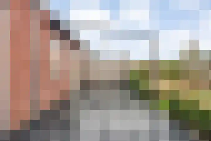 Moonenlaan 98 Hardenberg thumbnail 41