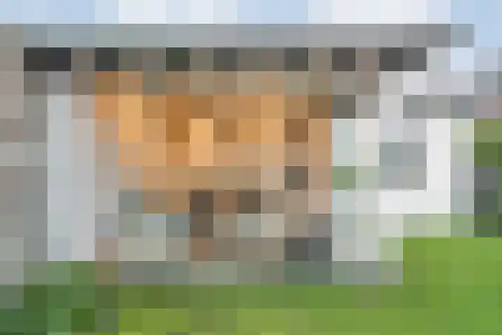 Moonenlaan 98 Hardenberg thumbnail 43