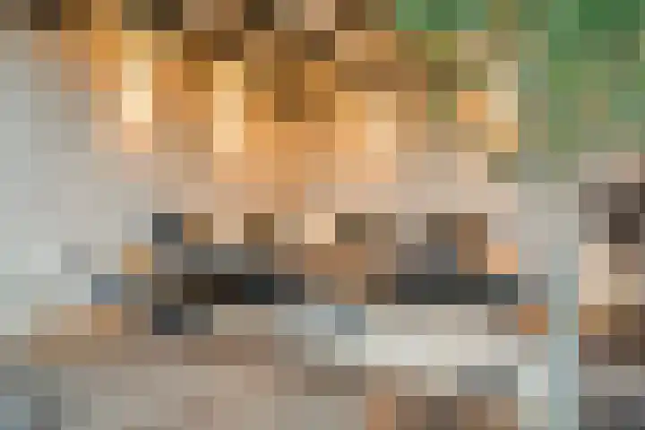Moonenlaan 98 Hardenberg thumbnail 44