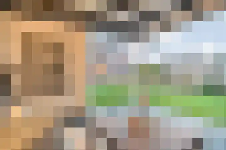 Moonenlaan 98 Hardenberg thumbnail 46
