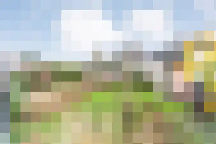 Moonenlaan 98 Hardenberg thumbnail 52