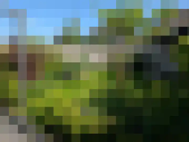 Moonenlaan 98 Hardenberg thumbnail 53