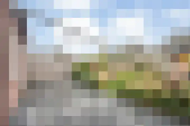 Moonenlaan 98 Hardenberg thumbnail 54