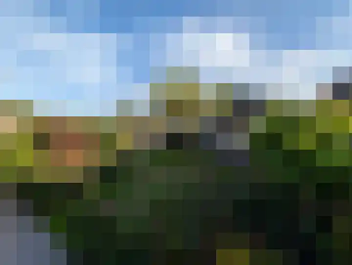 Moonenlaan 98 Hardenberg thumbnail 55