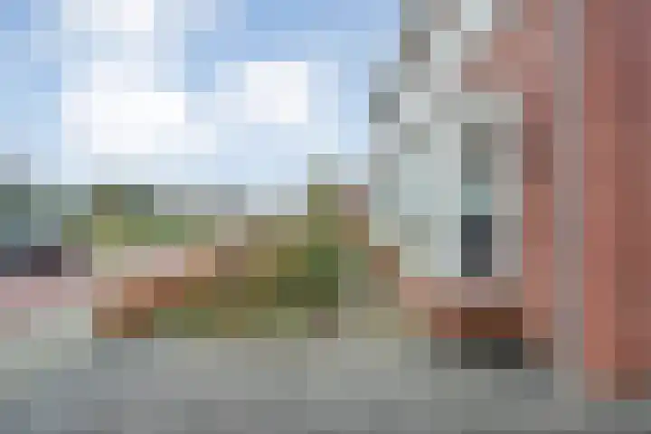 Moonenlaan 98 Hardenberg thumbnail 59