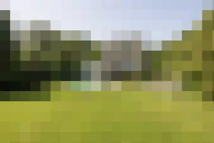 Moonslaan 30 Maarheeze thumbnail 26