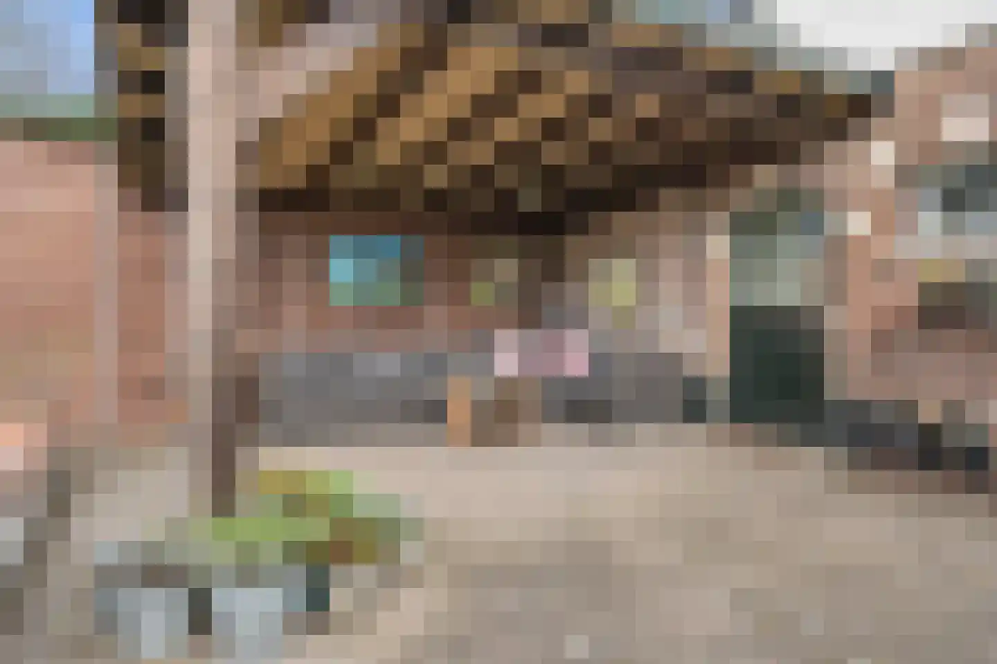 Moordakkerstraat 18 Herveld thumbnail 43
