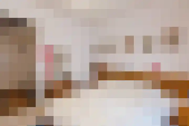 Moordrechtse Verlaat 12 Gouda thumbnail 25
