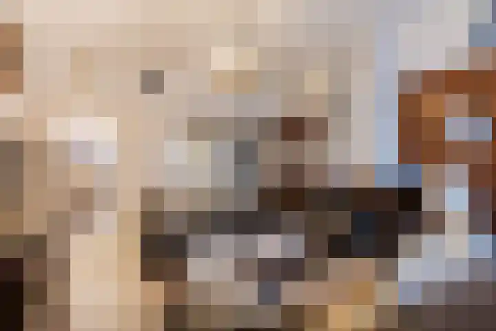 Moordrechtse Verlaat 12 Gouda thumbnail 4