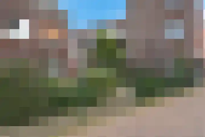 Mooriaanstraat 10 Wormer thumbnail 31
