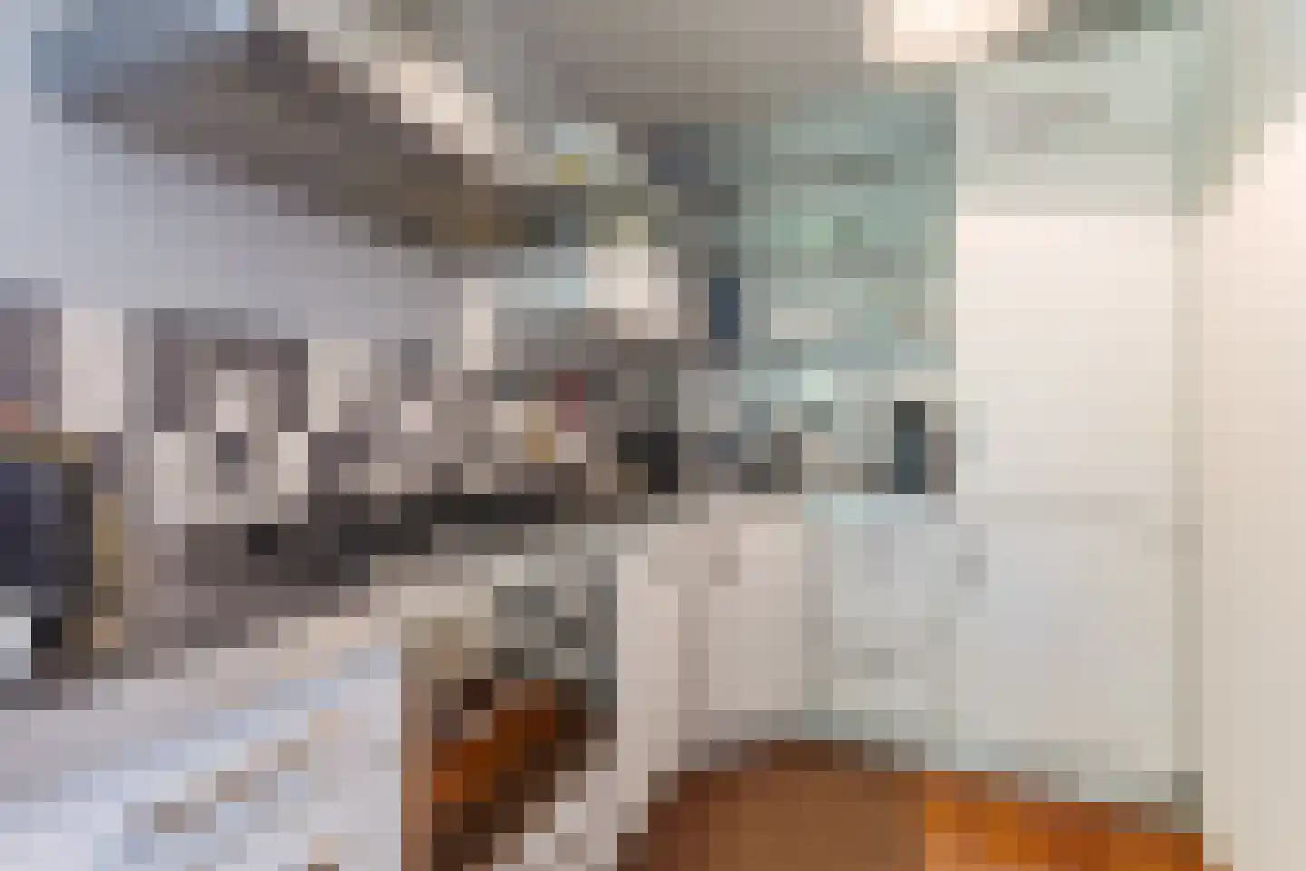 Mooriaanstraat 26 Wormer thumbnail 10
