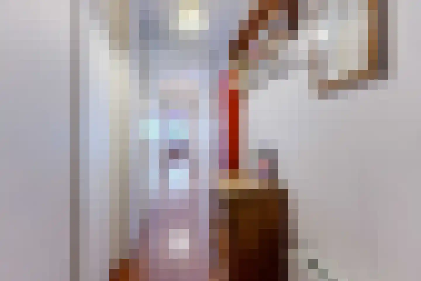 Mooriaanstraat 26 Wormer thumbnail 14