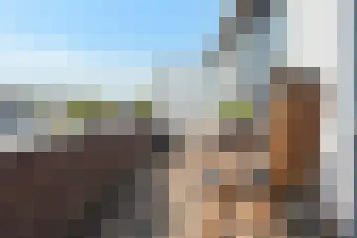 Mooriaanstraat 30 Wormer thumbnail 22