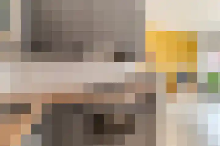 Mooriaanstraat 4 Wormer thumbnail 10