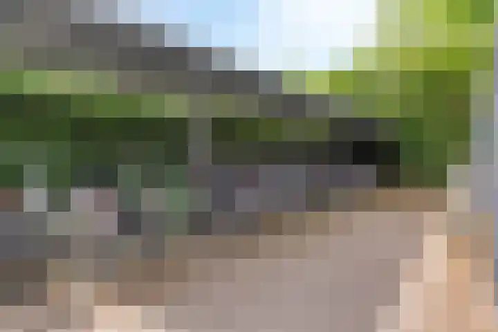 Moorland 32 Oirschot thumbnail 22