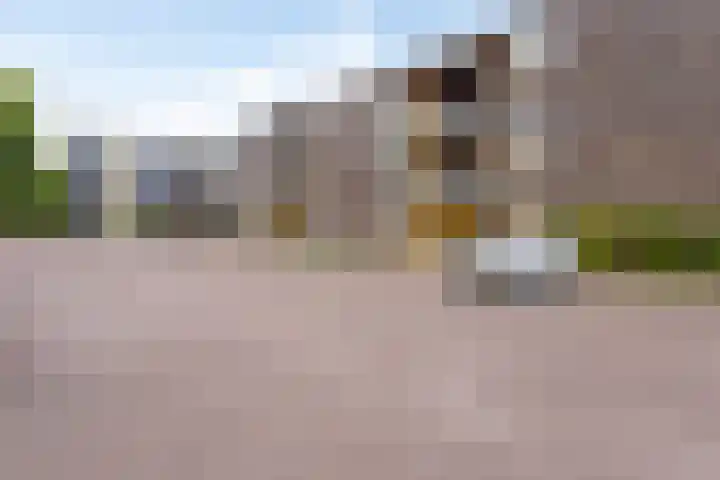 Moorland 52 Oirschot thumbnail 26