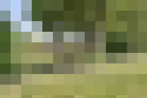 Moorland 52 Oirschot thumbnail 29