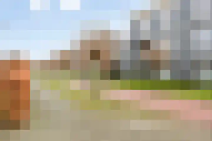 Moorland 64 Oirschot thumbnail 29