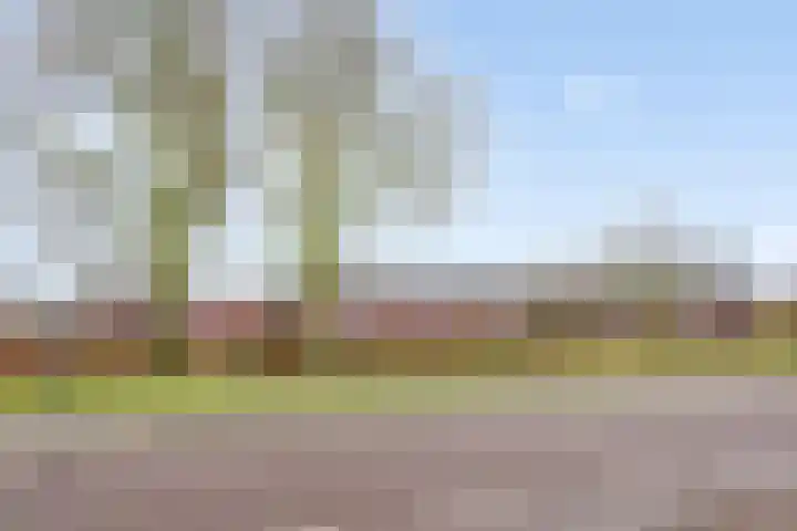 Moorland 64 Oirschot thumbnail 30