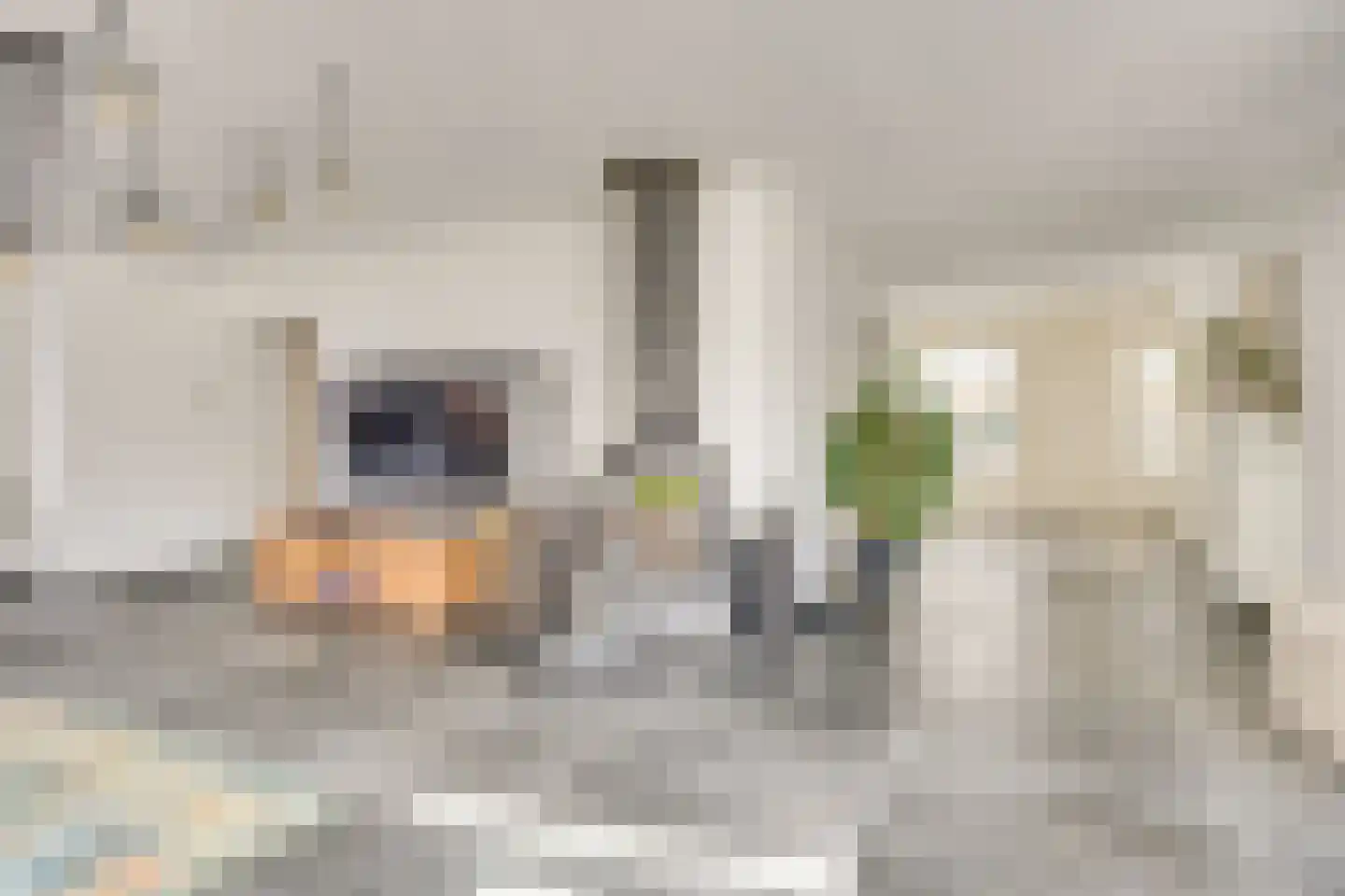 Moormanlaan 9 Knegsel thumbnail 14