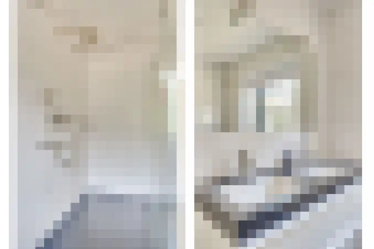 Moormanlaan 9 Knegsel thumbnail 30