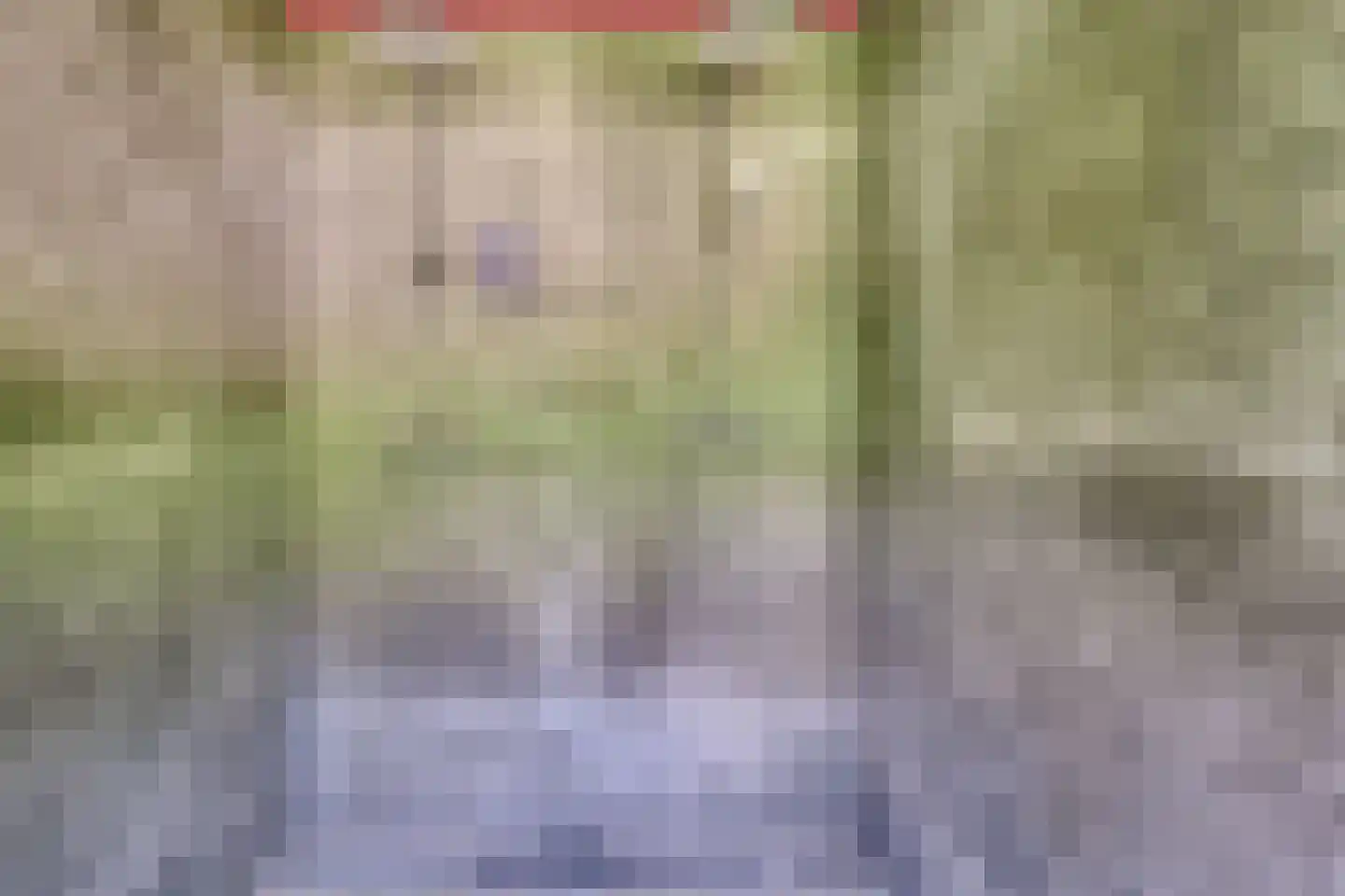 Moormanlaan 9 Knegsel thumbnail 34