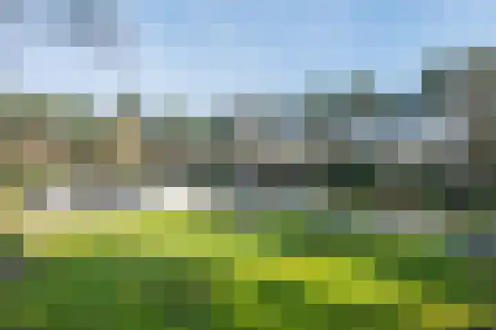Moormanlaan 9 Knegsel thumbnail 42