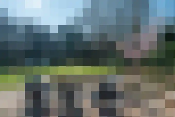 Moormanlaan 9 Knegsel thumbnail 48