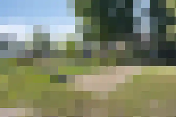 Moormanlaan 9 Knegsel thumbnail 49